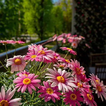 Pietarsaaren Helmi Apartment