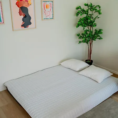 公寓 Pietarsaaren Helmi 皮埃塔尔萨里