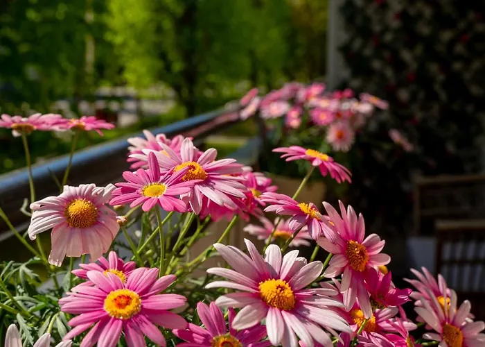 Pietarsaaren Helmi Апартаменты